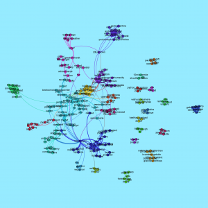 pycon_tags_people_communities